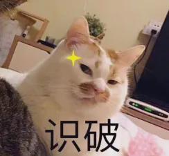 网！宜宾袁某某犯罪细节曝光！AG旗舰赞助马竞联赛第4次落(图1)